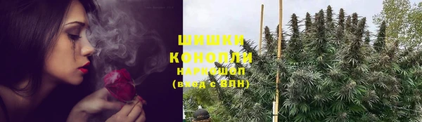 дживик Балахна