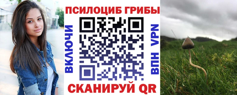 Псилоцибиновые грибы GOLDEN TEACHER  Севск 
