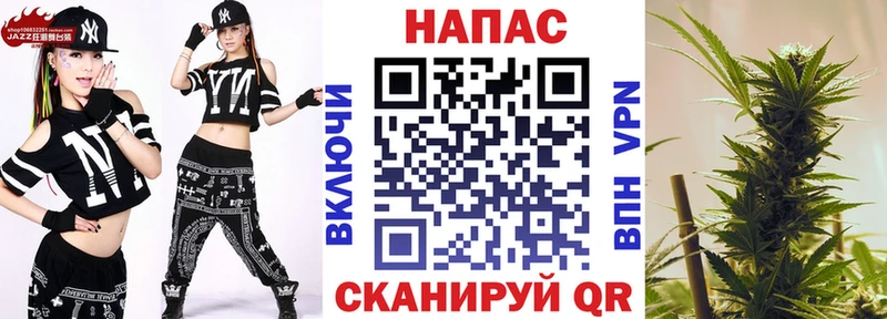 МАРИХУАНА сатива Севск